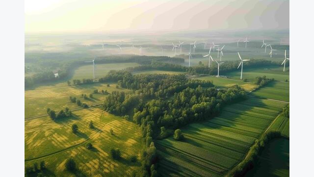 Luftansicht auf ein großes grünes Feld mit Wald und Windrädern.