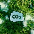 Kann CO2 auf grüne Art genutzt werden?
