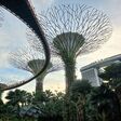 In Singapur leben rund 5,33 Millionen Einwohner, 249.000 davon sind Millionäre, 8.040 Multimillionäre und 26 Milliardäre.