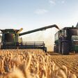 Mähdrescher und Traktor bei der Ernte auf einem Weizenfeld
