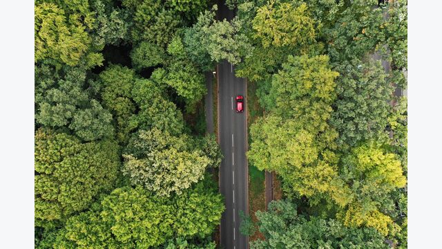 Ein rotes Elektroauto fährt allein zwischen grünen Bäumen, Vogelperspektive.