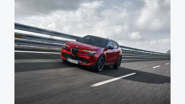 Der in Polen produzierte Alfa Romeo „Milano“ musste auf „Junior“ umgetauft werden, weil er ansonsten als italienisches Produkt angesehen werden würde.