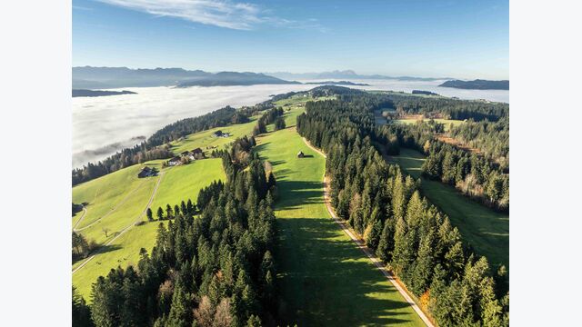 Luftbildaufnahme mit niedrigen Wolken an einem Herbstmorgen im Grenzgebiet zwischen Deutschland und Österreich mit den Bregenzerwaldbergen, Vorarlberg, Österreich, Bayern, Deutschland.