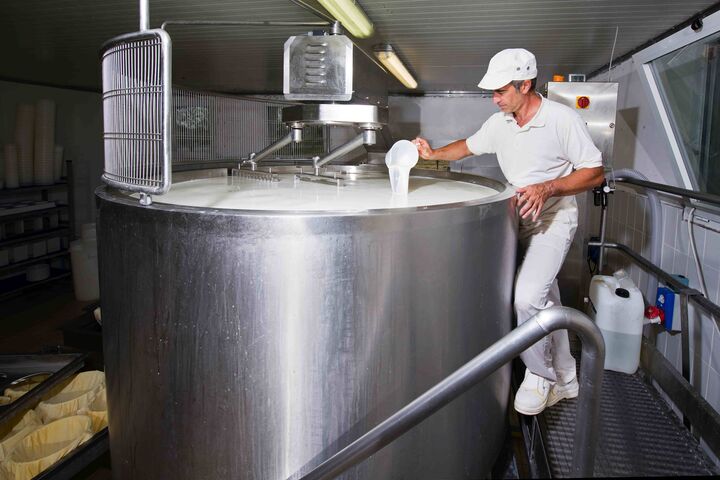 Ein Käser gießt Lab in einen großen Stahltank voller Milch.