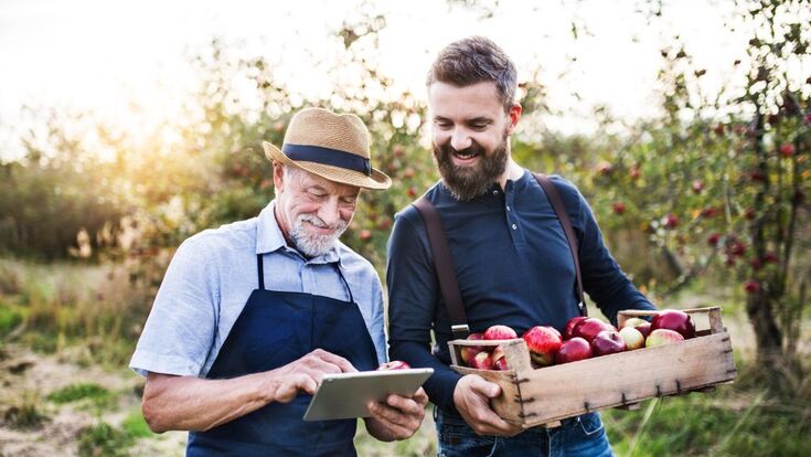 Ein alter und ein junger Mann arbeiten gemeinsam in einem landwirtschaftlichen Betrieb: einer macht Notizen, der andere trägt Kiste mit Äpfeln