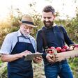 Ein alter und ein junger Mann arbeiten gemeinsam in einem landwirtschaftlichen Betrieb: einer macht Notizen, der andere trägt Kiste mit Äpfeln