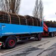 Blauer offener Lkw des Unternehmens AVI voll beladen mit Betonbewehrungsprodukten
