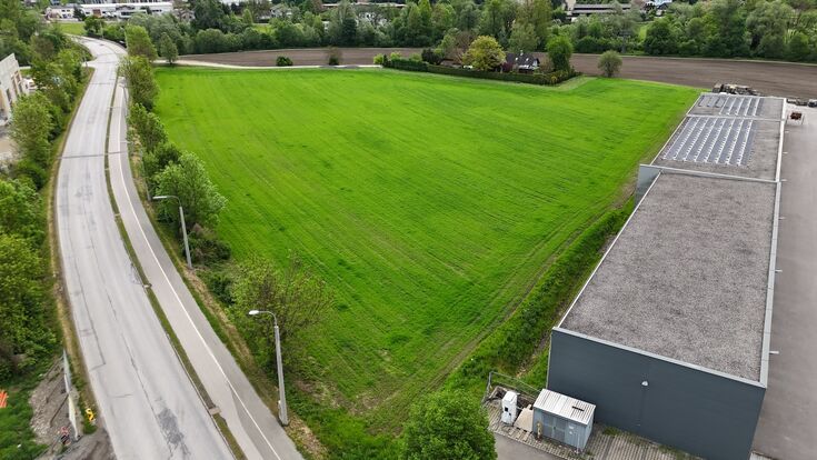 Das Foto zeigt eine freie Fläche (Koegerler Gründe), wo sich ein Unternehmen ansiedeln könnte.