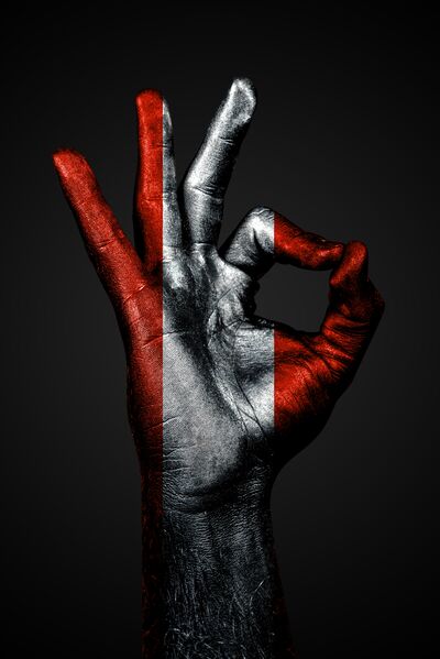 A hand with the painted flag of Austria shows an OK sign on a dark background. Vertical frame