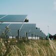 agri pv anlage von oekostrom in parndorf, burgenland, mit feld rundherum